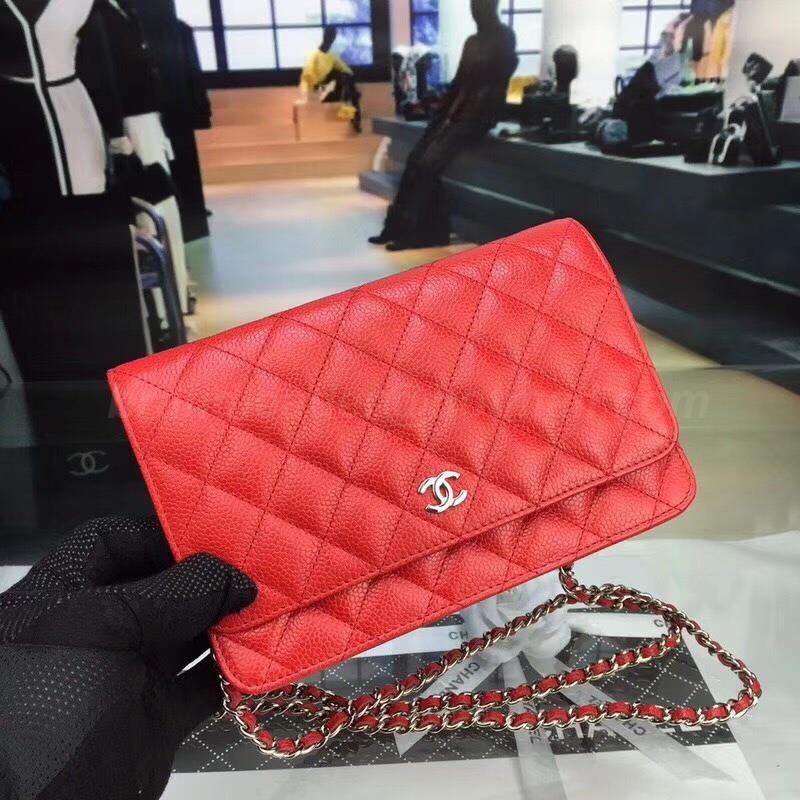 Chanel Handbags 207